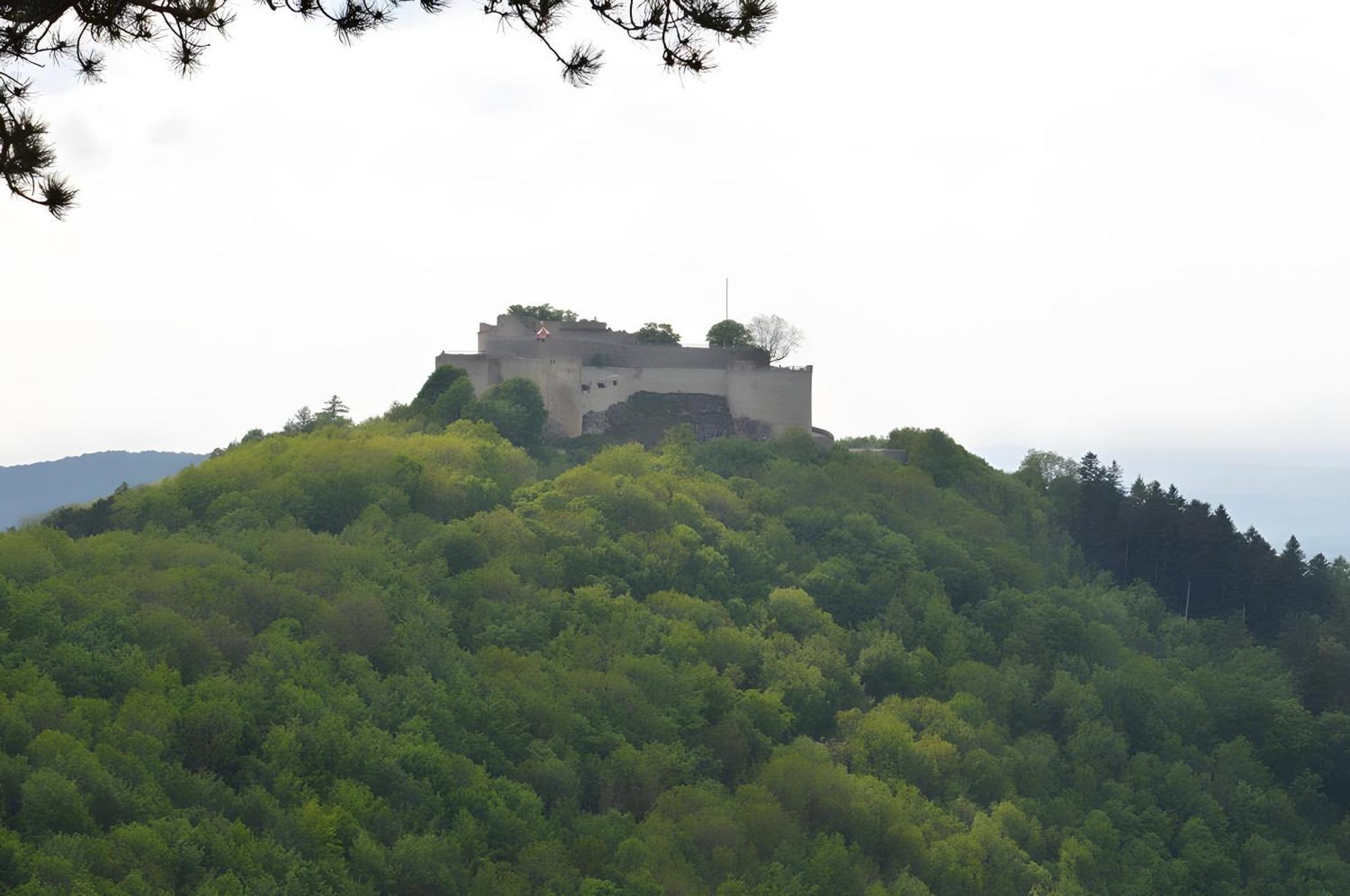 Fewo-Alb-Traum Erkenbrechtsweiler Exterior foto